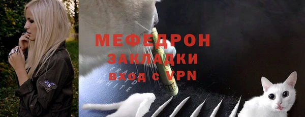 тгк Дмитриев