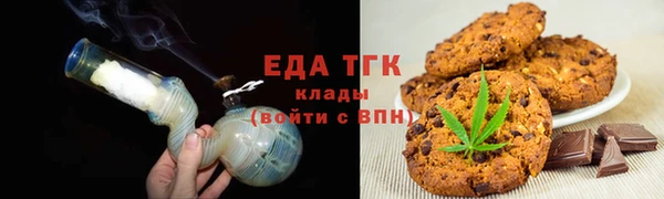 тгк Дмитриев