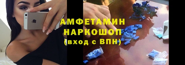 дживик Няндома