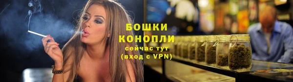 ECSTASY Дмитровск