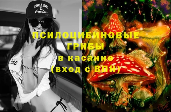 тгк Дмитриев