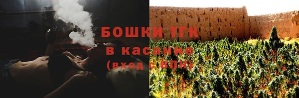 тгк Дмитриев