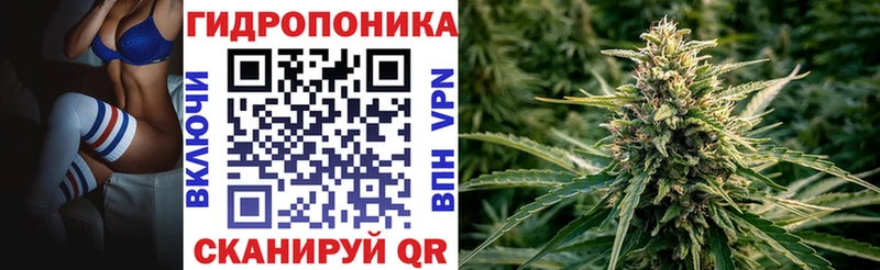 купить закладку  hydra маркетплейс  Шишки марихуана тримм  Дубна 
